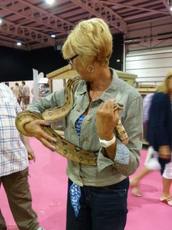 Our boa constrictor Connie - a friendly & very popular therapy snake